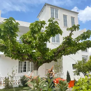 https://oruci-apartment.albaniahotels.org