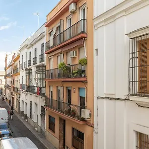 Green- Setas Siviglia